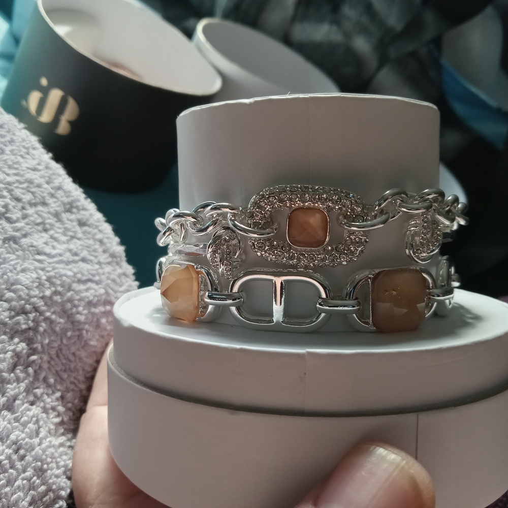 Elegant Silver and Tan Bracelet